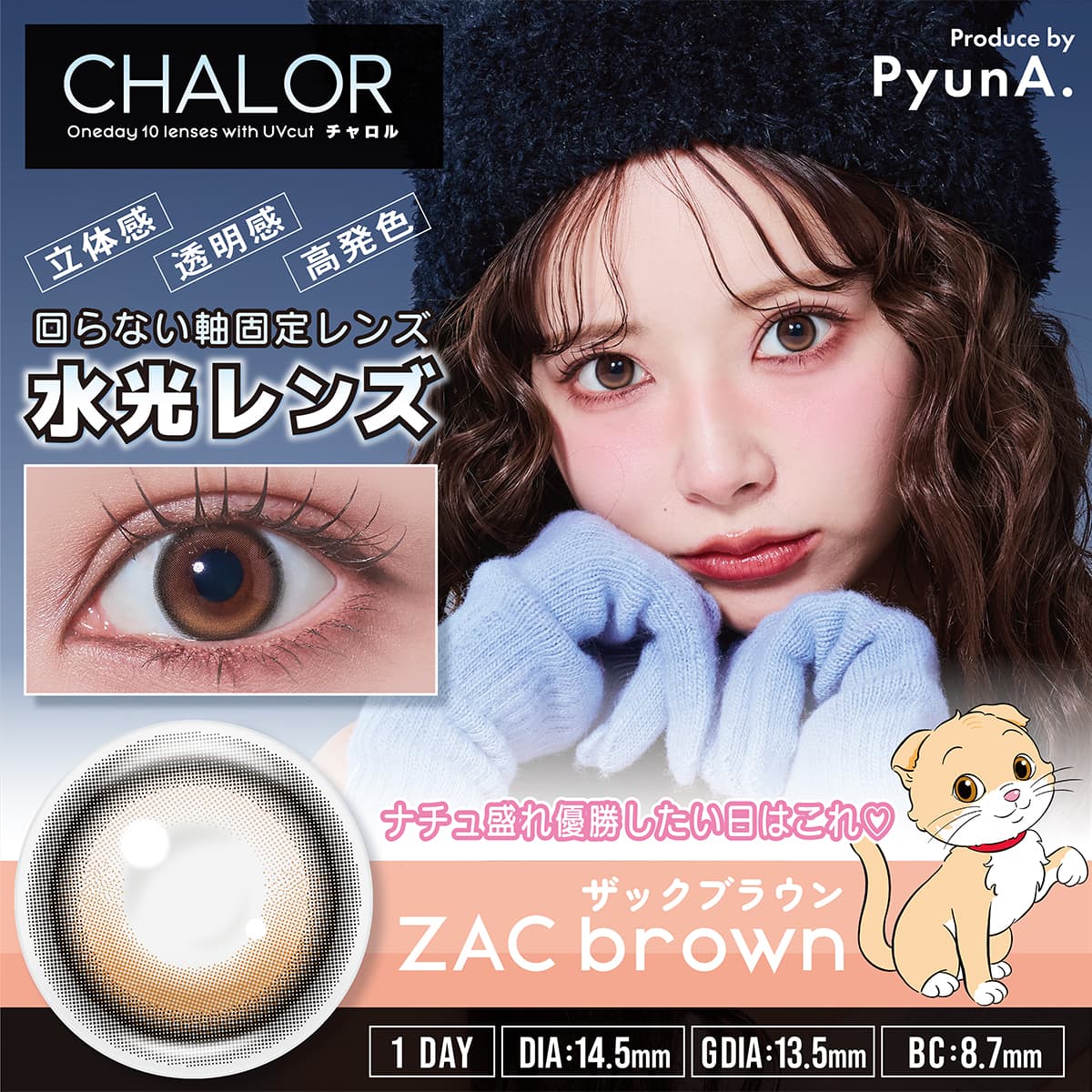 【新色】CHALOR  ZAC brown（ザックブラウン）