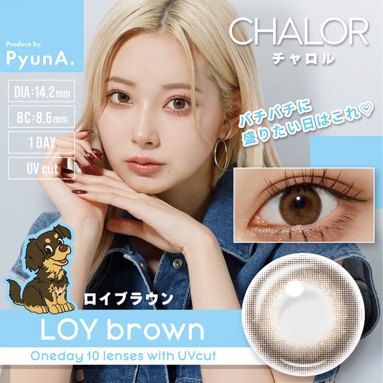 CHALOR LOY brown（ロイブラウン）